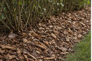 Déchets verts : compost, paillage, déchèterie et brûlage